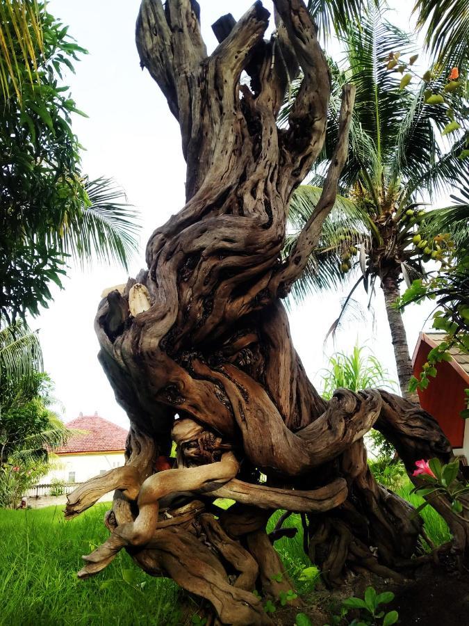 Coconut Gili Meno 호텔 외부 사진